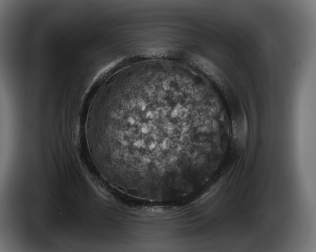 X0000084530588200703021423
