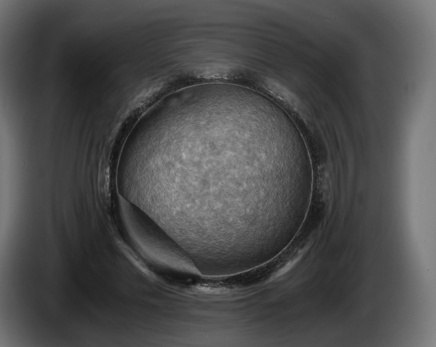 X0000084530589200703021423