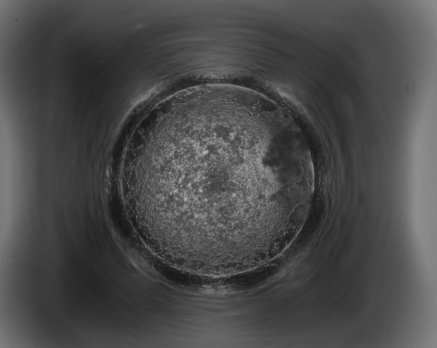 X0000084530591200703021423