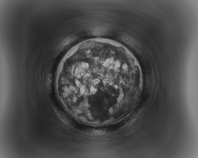 X0000084530592200703021423