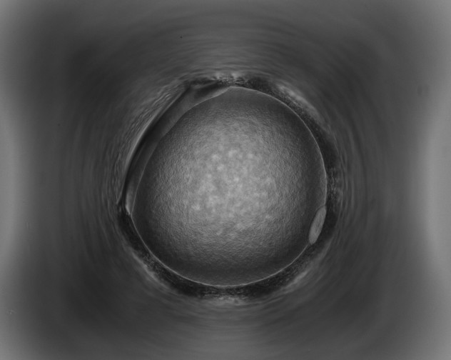 X0000084530593200703021423