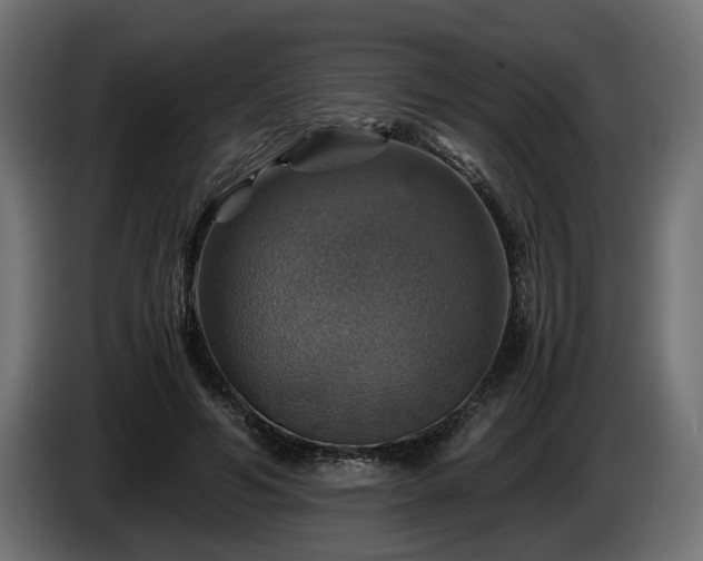 X0000084530594200703021423