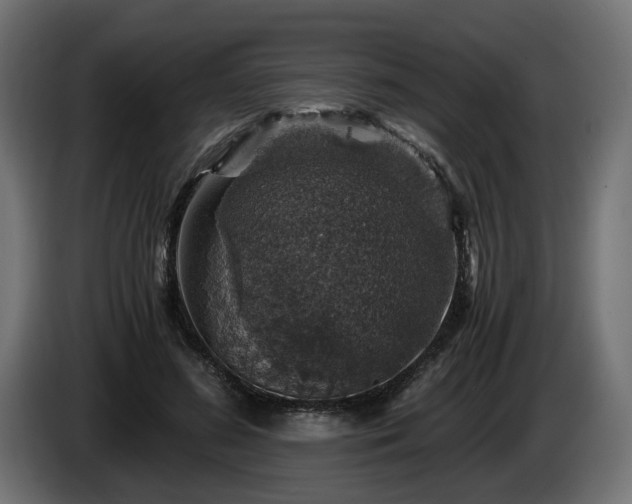 X0000084530596200703021423