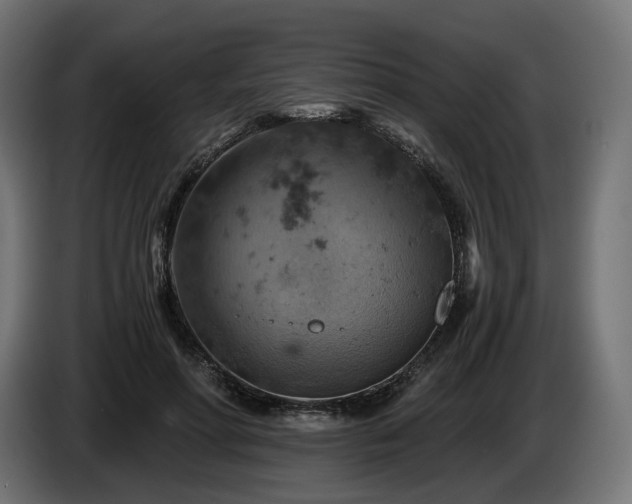 X0000084530598200703021422