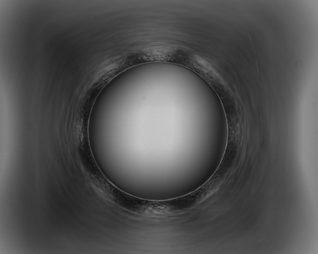 X0000084530599200703021422