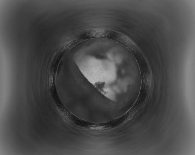 X0000084530602200703021422