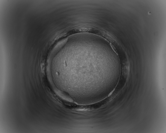 X0000084530604200703021422