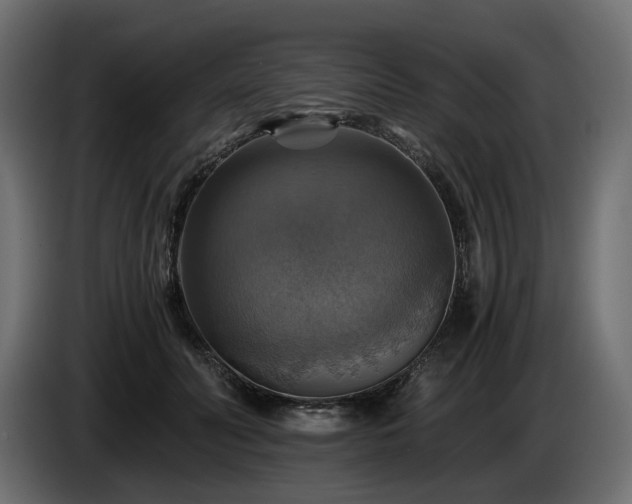 X0000084530606200703021422