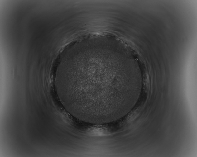 X0000084530608200703021422