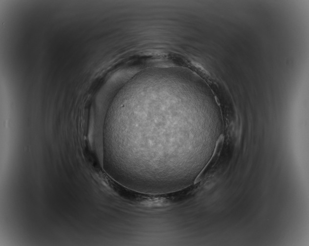 X0000084530609200703021422