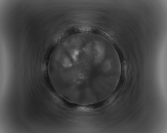 X0000084530614200703021422