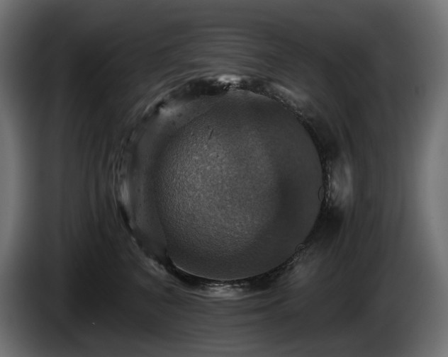 X0000084530616200703021422
