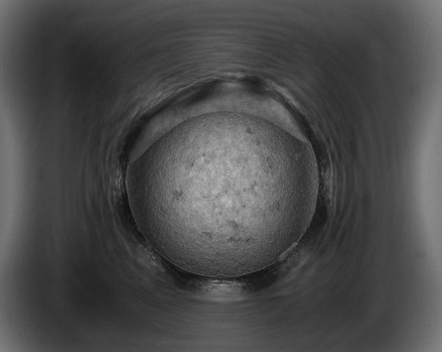 X0000084530617200703021422