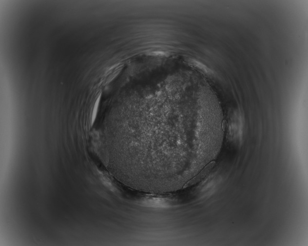 X0000084530620200703021422