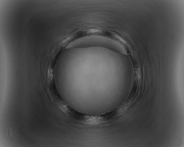 X0000084530621200703021422