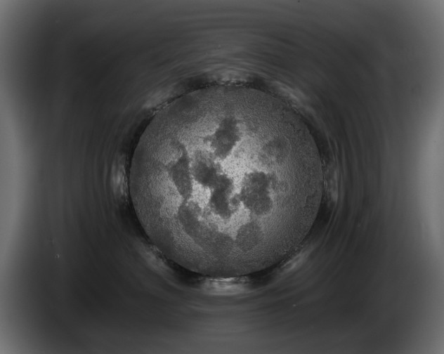X0000084530622200703021422