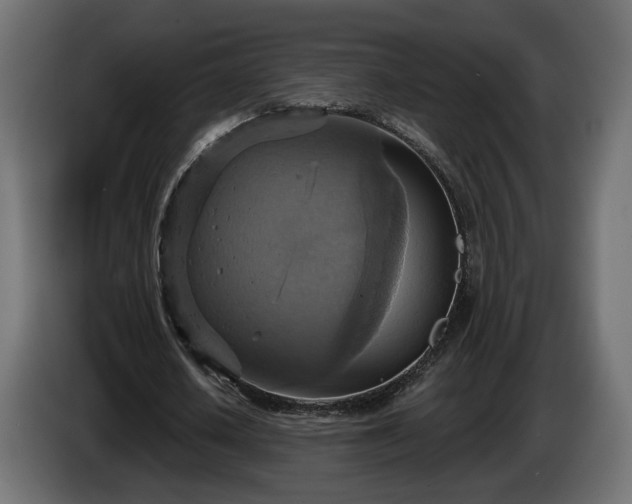 X0000084530626200703021421