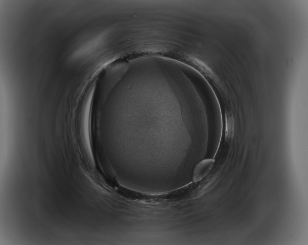 X0000084530627200703021421