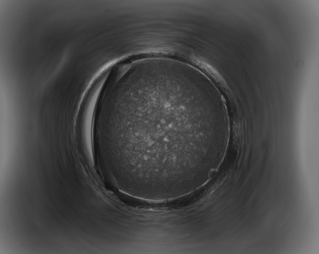 X0000084530628200703021421