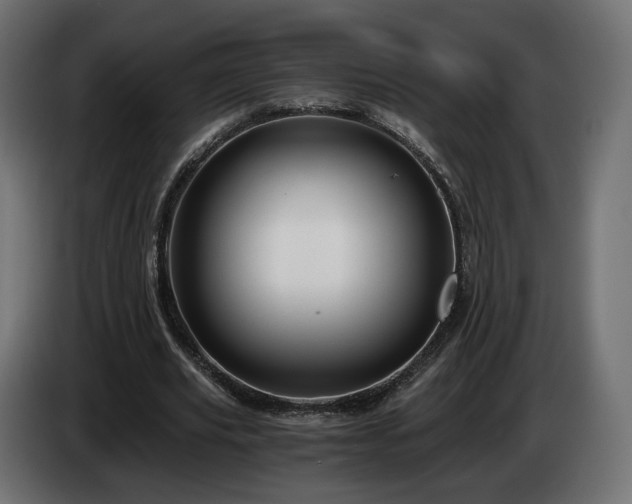 X0000084530629200703021421