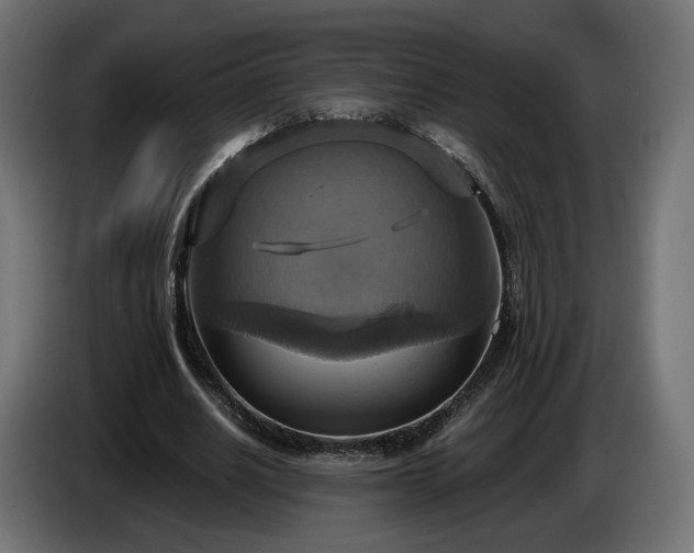 X0000084530630200703021421