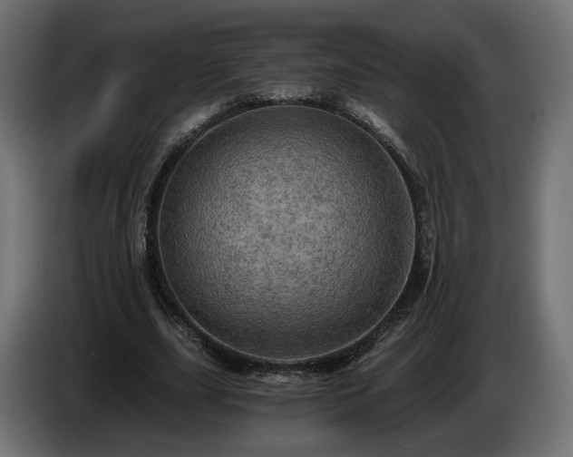 X0000084530631200703021421