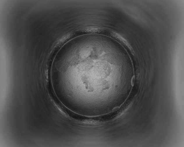 X0000084530633200703021421