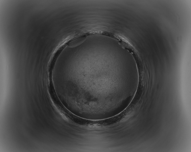 X0000084530634200703021421
