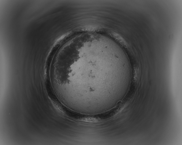 X0000084530636200703021421