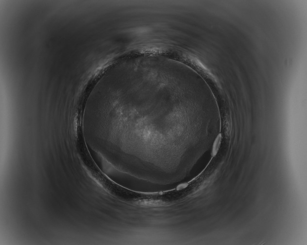 X0000084530637200703021421