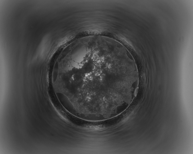 X0000084530638200703021421
