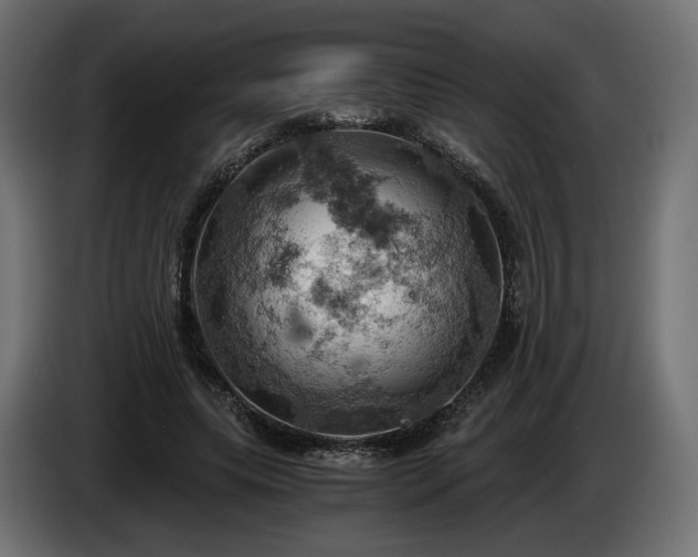 X0000084530639200703021421