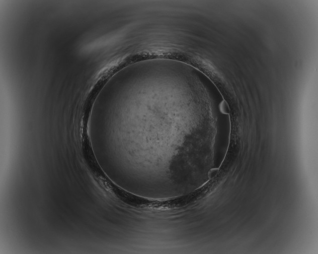 X0000084530640200703021421