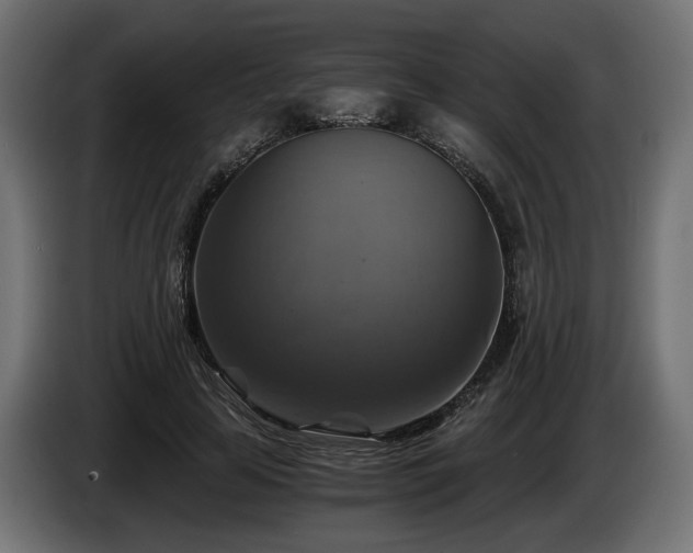 X0000084530641200703021421