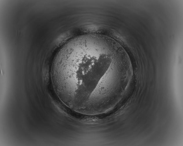 X0000084530642200703021422