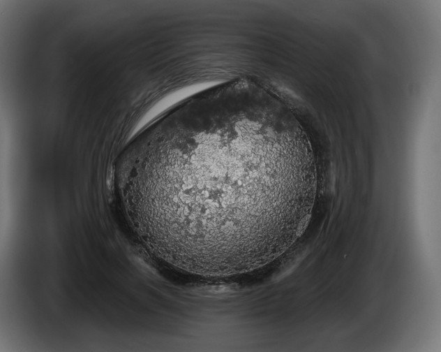 X0000084530646200703021422