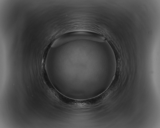 X0000084530650200703021422