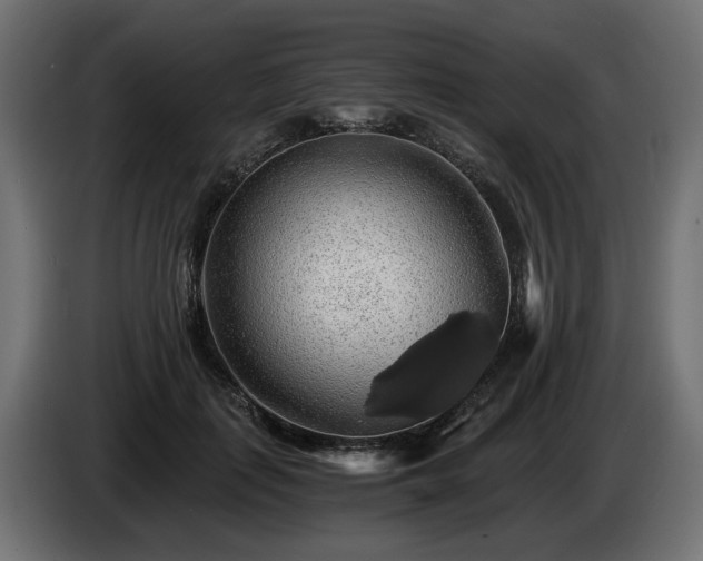 X0000084530651200703021422