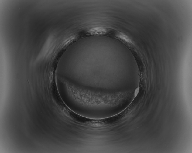 X0000084530652200703021422
