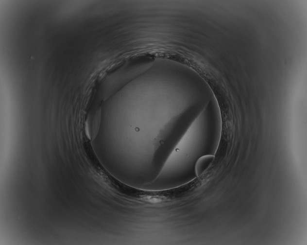 X0000084530654200703021422