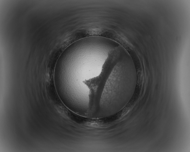 X0000084530655200703021422