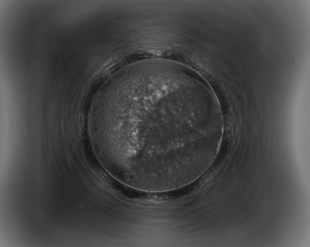 X0000084530656200703021422