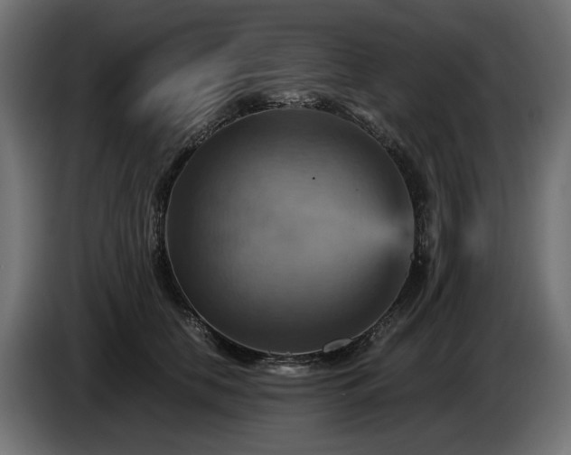 X0000084530658200703021422