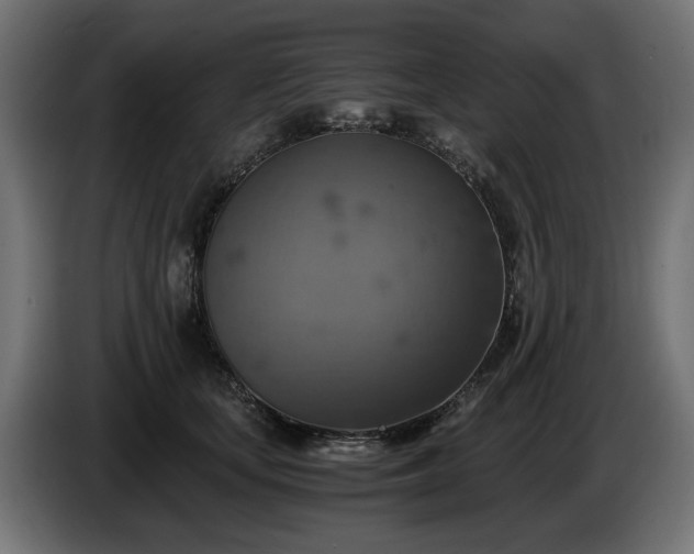 X0000084530659200703021422