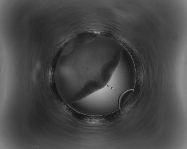 X0000084530661200703021422