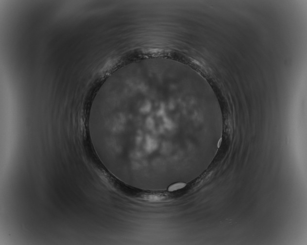 X0000084530662200703021422