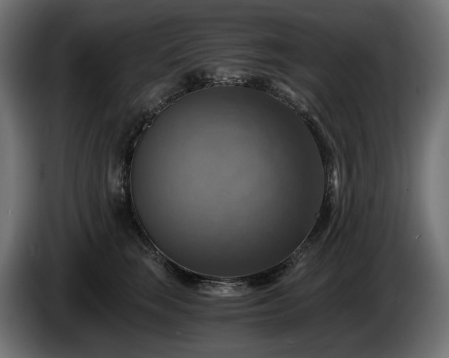 X0000084530663200703021422