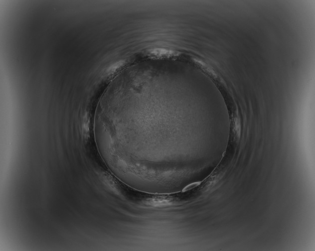X0000084530668200703021422
