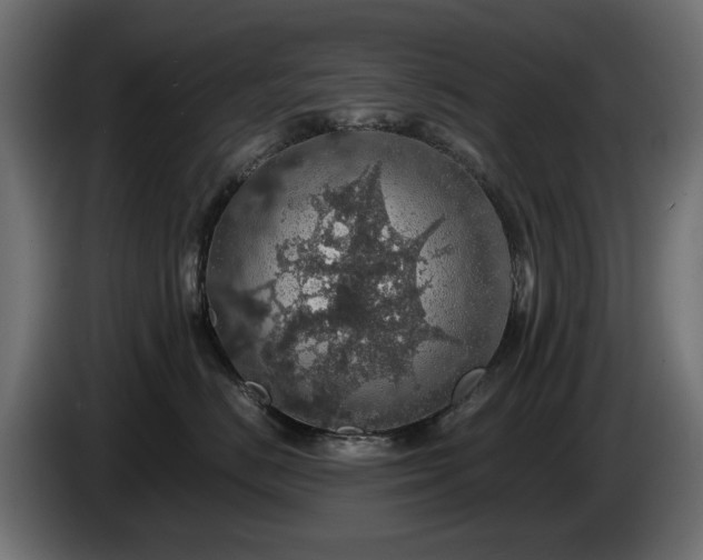 X0000084530670200703021422