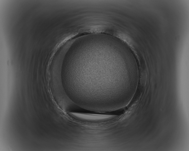 X0000084530673200703021421